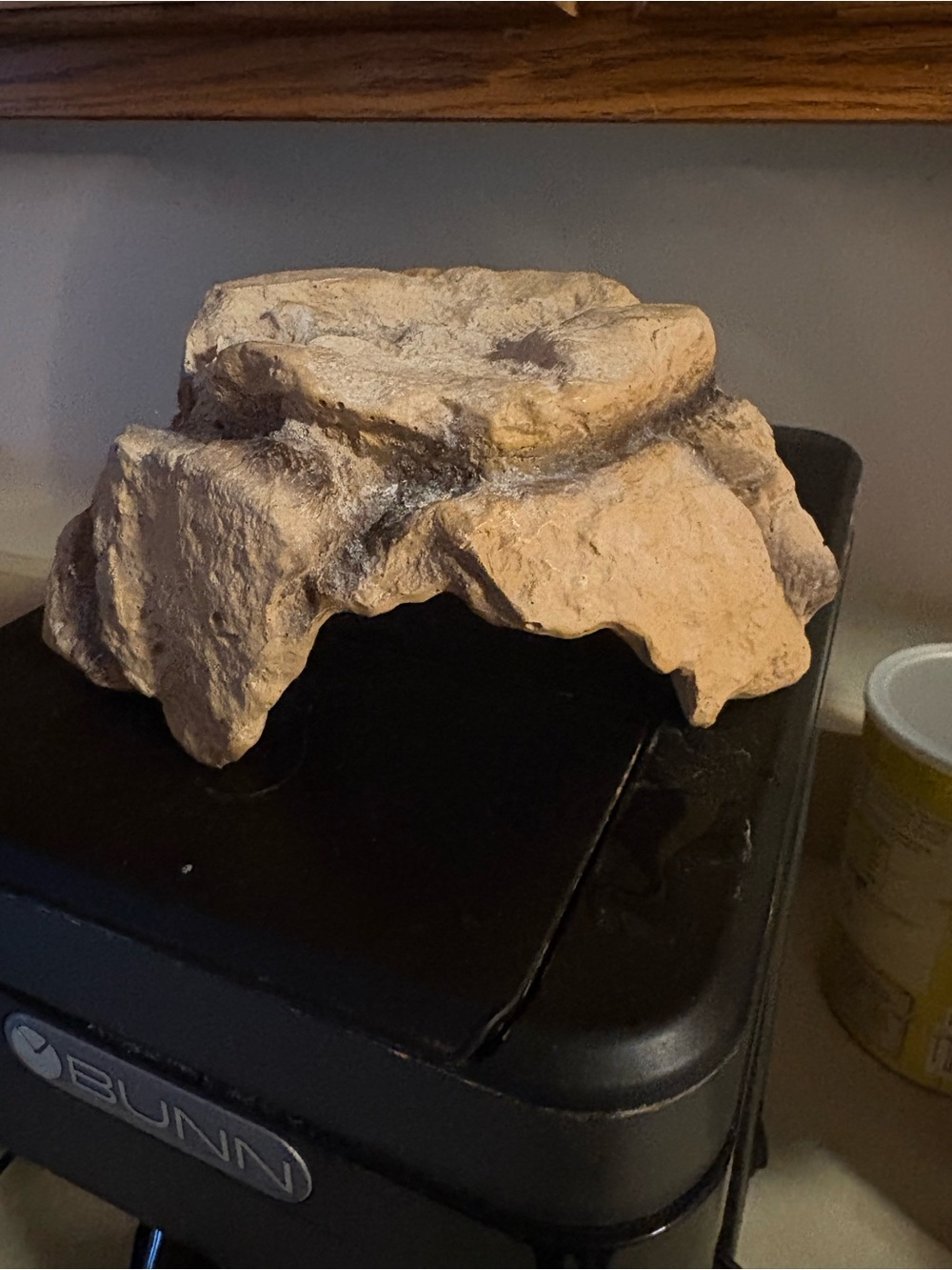 Beige Reptile Rock Hide with Natural Cave Entrance